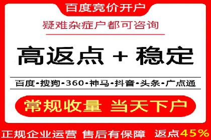 竞价推广实战：案例分析行业领军企业的成功之道
